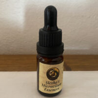 Primordial Flowers Essences